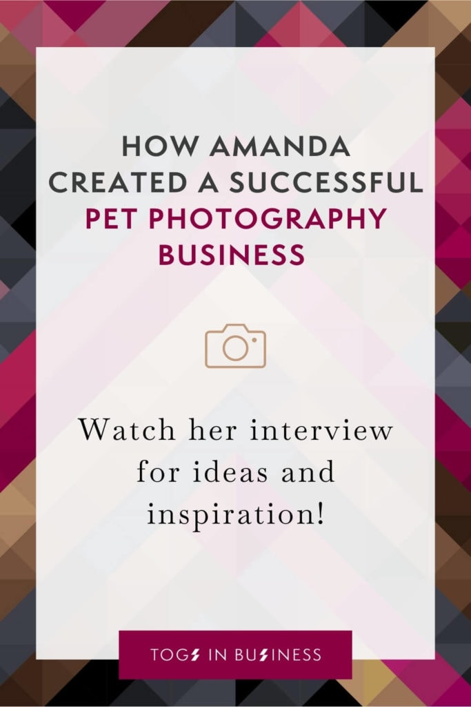 Interview with Amanda Perris - How to create a successful pet photography business